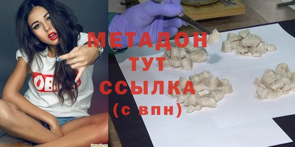хмурый Аркадак
