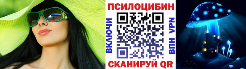 Галлюциногенные грибы Psilocybine cubensis  что такое   Обь 